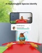 ANAKK Hummingbird Feeder with Camera,1296P HD Night Vision Hummingbird Feeder with Ant Moat, Solar Bird Feeder Outdoor/IP65 Waterproof/AI Intelligent Identification of Hummingbirds 2.4G Wi-fi - Image 3