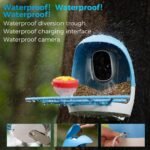 Aomeisi A6 AI Feeder with 2K Solar Camera Squirrel Feeder Identify Hummingbird attractant Motion Detection Two Way Audio SD Slot Gift for Bird Photography Bird Lover - Image 5