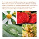 YONGNUO YN12-35mm F2.8-4M Standard Zoom Lens, ASPH Auto Focus for Micro Four Thirds Cameras Panasonic LUMIX Professional Camera Lens - Image 6