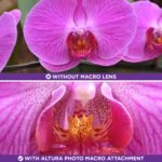 Altura Photo 58MM 0.43x HD Wide Angle Lens with Macro - Attaches to 58MM Filter Thread (Not Camera Body) - DSLR Accessories for Canon Rebel T7, T7i, T8i, T6i, T6s, T6, SL2, SL3, EOS 70D, 77D, 80D, 90D - Image 7