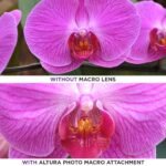 Altura Photo 58MM 0.35x Fisheye Wide Angle Lens (w/Macro Portion) for DSLR Cameras EOS Rebel 70D 77D 80D 90D T8i T7 T7i T6i T6s T6 T5i T5 T4i T3i T100 SL1 SL2 SL3 - Image 7