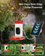 ANAKK Hummingbird Feeder with Camera,1296P HD Night Vision Hummingbird Feeder with Ant Moat, Solar Bird Feeder Outdoor/IP65 Waterproof/AI Intelligent Identification of Hummingbirds 2.4G Wi-fi - Image 5